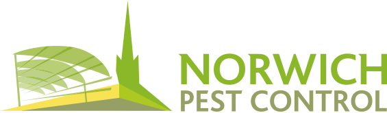 Norwich Pest Control